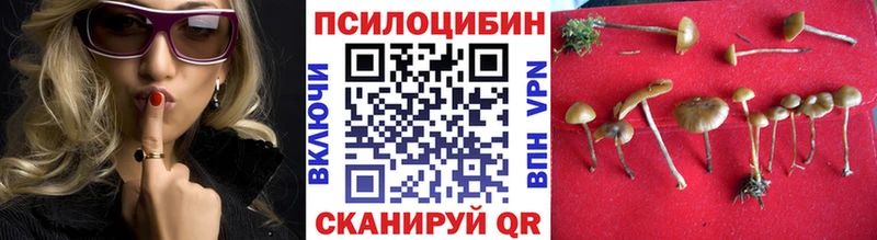 Купить где  Новозыбков  Галлюциногенные грибы Magic Shrooms 